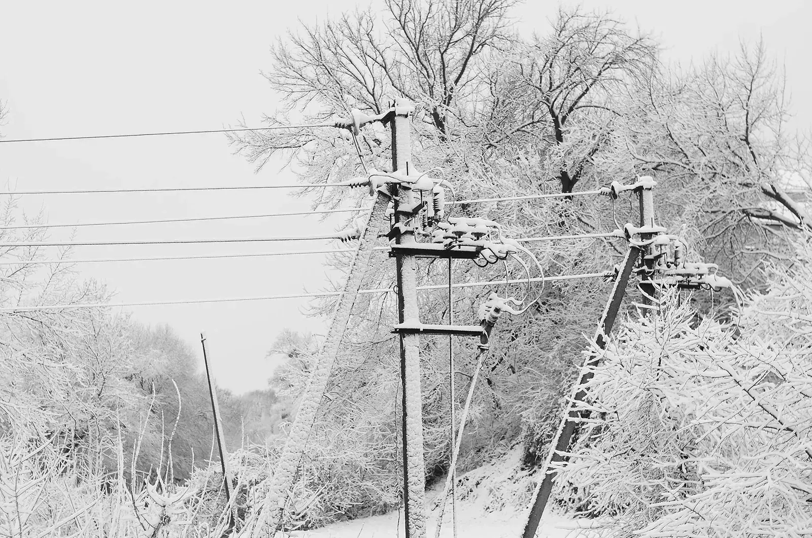 Snow-covered power lines and trees in a winter scene. The landscape is blanketed in white, creating a calm and serene atmosphere.