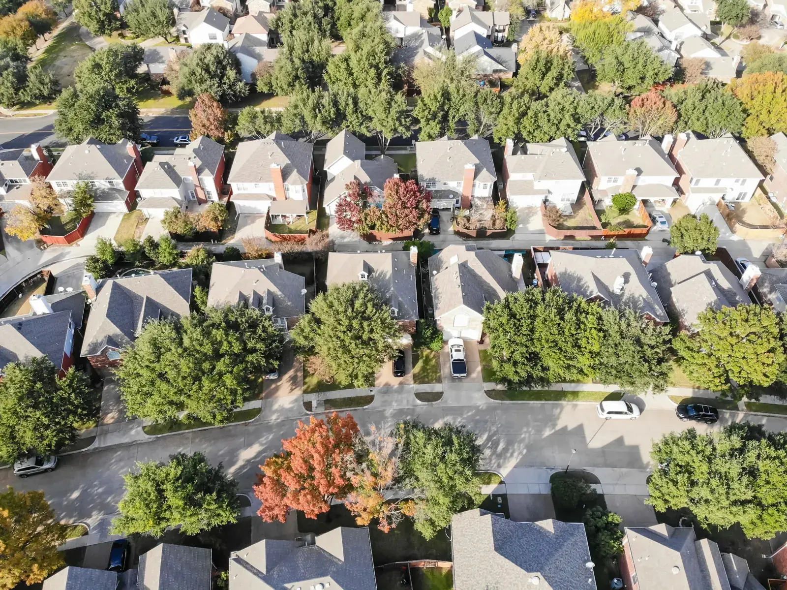 Aerial view of a suburban neighborhood with tree-lined streets, brick houses, and colorful autumn foliage. Cars are parked along the road.