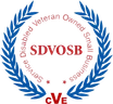 Service-Disabled Veteran-Owned Small Business